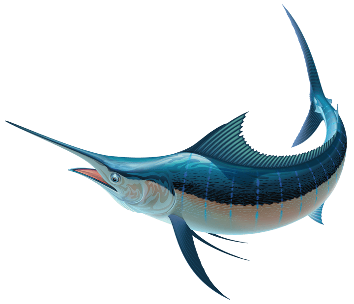 marlin_fish_